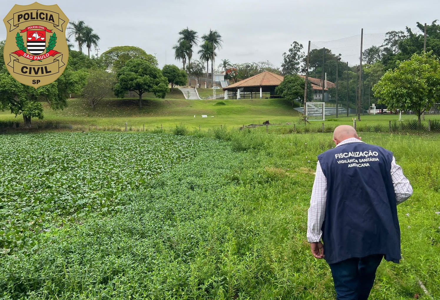 Polícia Civil de Americana prende um homem pela prática de crime ambiental