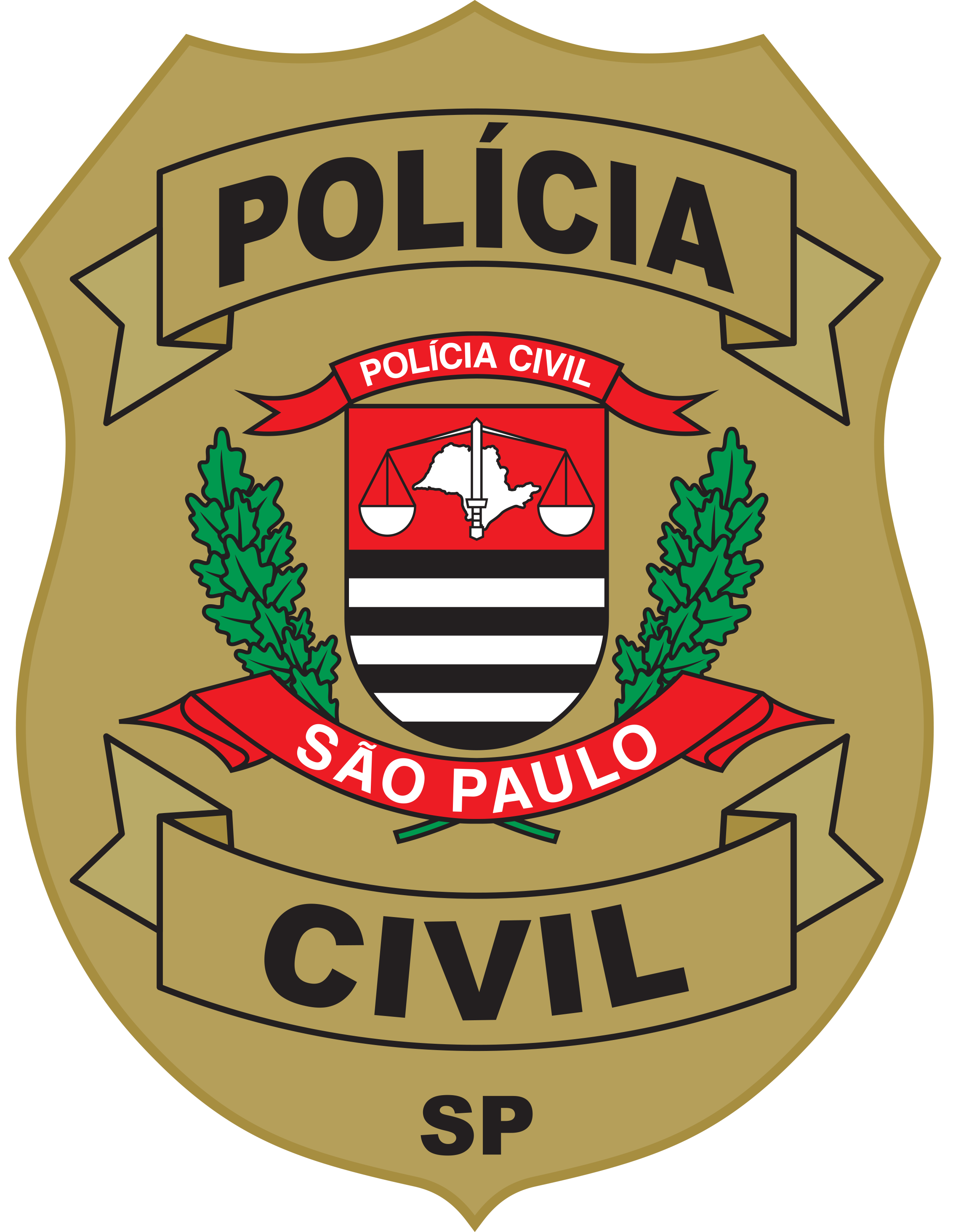 Bras&atilde;o Nacional PCSP Moldura.png